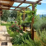 Dom wakacyjny Il Casale Degli Ulivi- Splendido Casale Panoramico Con Piscina A 30 Min Da Roma Gra
