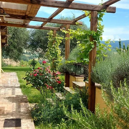 Vakantiehuis Il Casale Degli Ulivi- Splendido Casale Panoramico Con Piscina A 30 Min Da Roma Gra