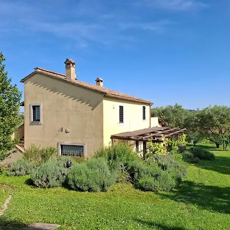 Vakantiehuis Il Casale Degli Ulivi- Splendido Casale Panoramico Con Piscina A 30 Min Da Roma Gra